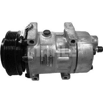 Kompresor klimatizace Kompresor klimatizace Renault 090575028