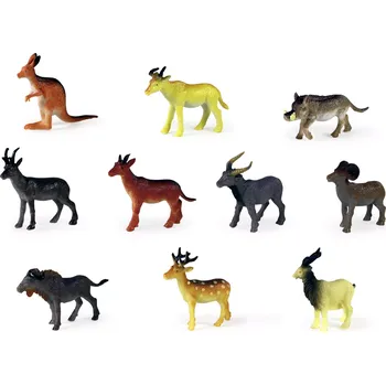 Rappa divoká 12 ks C