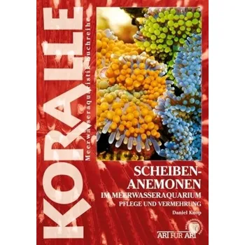 Scheibenanemonen im Meerwasseraquarium - Knop, Daniel