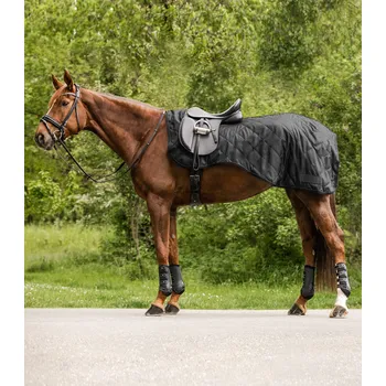 Deka pro koně Bederní deka Waldhausen Exclusive, černá, Pony