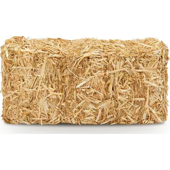 Krmivo pro hlodavce PROFIZOO Ovesná sláma 800l (2025)