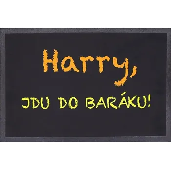 Koberec Rohožka Harry, jdu do baráku 40x60 cm, 40x60, černá, Mercury Flooring - 1 rok na vrácení + DOPRAVA ZDARMA k Vám i zpět