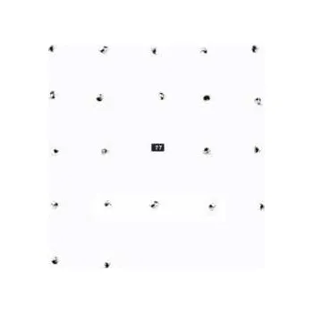 Zahraniční hudba LP Foot Village: Split Series #21 2021