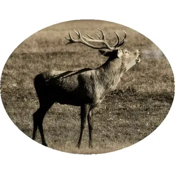 Nášivka Nažehlovačka myslivecká JELEN II (digitální nažehlovačka pro myslivce)