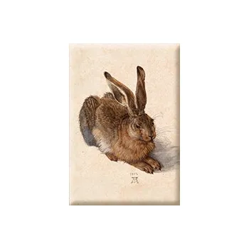 Dekorativní magnet Plumeria Plu - Magnetka Albrecht DOrer A Young Hare - 8 x 5,5 cm