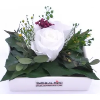 umělá květina Stabilizovaná růže Zina Barva: White