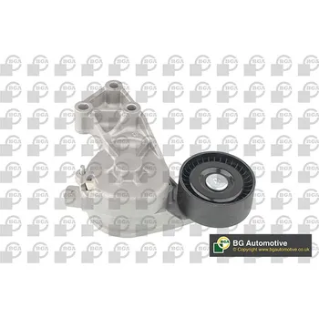 Napínací rameno, žebrovaný klínový řemen, , 038903315AE, 038903315F, 1122523, 1376631, YM216K254AA, YM216K254EA, BGA, DC0114