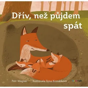 Kniha Dřív než půjdem spát