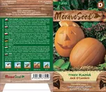 MoravoSeed Tykev plazivá Jack O'Lantern…