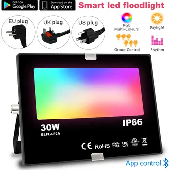 Noční světlo Chytré Venkovní světlo RGB LED 30W IP66 APP