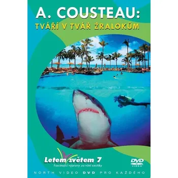 DVD film Letem světem 07 - DVD slim box