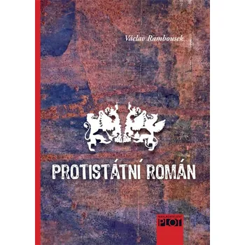 Kniha Protistátní román