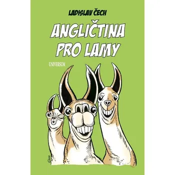 Kniha Angličtina pro lamy