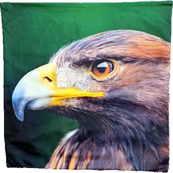 Povlečení Polštář OREL SKALNÍ VG-826-104 Velikost: UNI