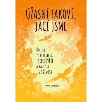 Kniha Úžasní takoví, jací jsme