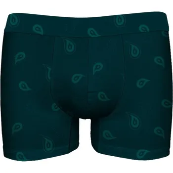 Boxerky Pánské boxerky JOHN FRANK JFBUCWB601 Layers Zelená XXL