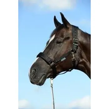 Vybavení pro koně Ohlávka BUCAS Comfort, černá, vel. COB (AP 25 DOPRODEJ)