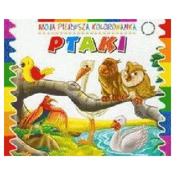 První čtění Ptaki - Moja pierwsza kolorowanka - opracowanie zbiorowe