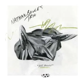 Zahraniční hudba LP Nathan Bowles Trio: Are Possible 2024