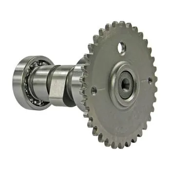 101_Octane Vačková hřídel Q4T - standard BT3001