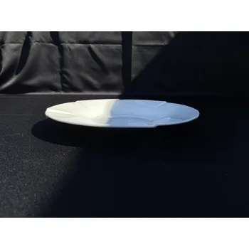 Talíř 17 ks Talíř bílý kulatý 29,5 cm + přepravní box