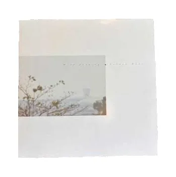 Zahraniční hudba LP Wild Nothing: Golden Haze CLR | LTD 2010 Coloured Golden Haze Vinyl Limited Edition