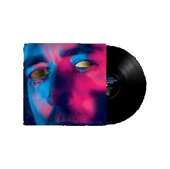 Zahraniční hudba LP A Place To Bury Strangers: See Through You 2022