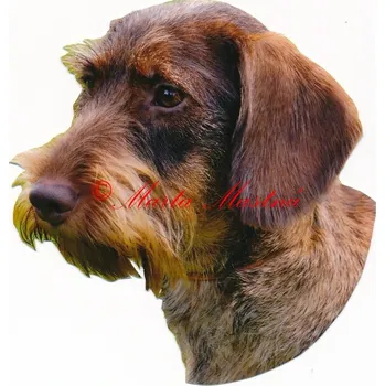 Samolepka jezevčík drsnosrstý hnědý - archiv 223