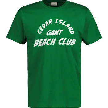 Pánské oblečení TRIČKO GANT CEDAR GRAPHIC T-SHIRT LAVISH GREEN