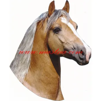 Samolepka quarter horse, kůň, koně isabel