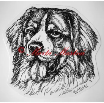 Samolepka bernský salašnický pes - archiv c62 - Malá - přibližně jako pohlednice