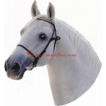 Samolepka lipicán Darius, koně