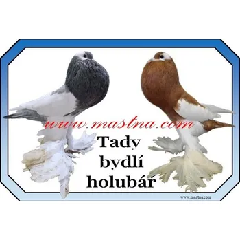 Cedulka holub český voláč dvojice - Bez samolepicí vrstvy