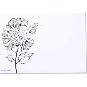 Dárková kartička A6 - Árie Slunečnice čísla: 10