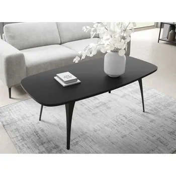 Konferenční stolek Konferenční stolek Kysipto, Barva: černá / černá MIRJAN 5903211362552