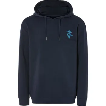 Pánská mikina Pánská mikina