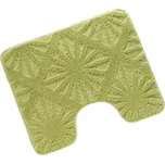 BANY 60x50 cm - s výkrojem - 60x50 cm Paprsek světle zelená