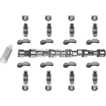 Vačková hřídel Sada vačkového hřídele SWAG 40 91 8813