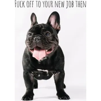 Cizojazyčná kniha Fuck off to your new job then: Perfect goodbye gift for coworker that is leaving / going away gift for your co worker, boss, manager, employee. – Workfreedom Press (EN)