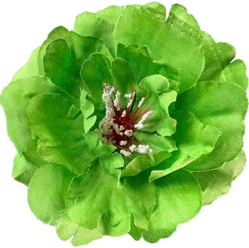 Karnevalový doplněk Zelený květ do vlasů