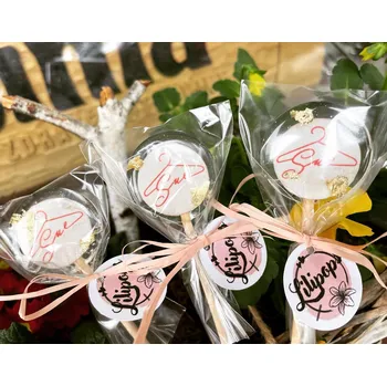 Bonbon Lilipops lízátko na zakázku s logem firmy 10 g