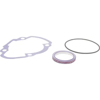 Těsnění pro motocykl Polini Sada těsnění Polini AC 209.0383