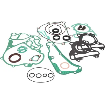 Těsnění pro motocykl Piaggio Sada těsnění motoru Piaggio 1R000316