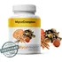 Přírodní produkt MycoMedica MycoComplex Imuno 90 cps.