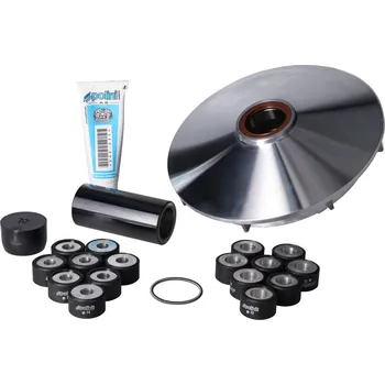 Motor pro motocykl Polini Variátor Hi-Speed T-max 530 241.735