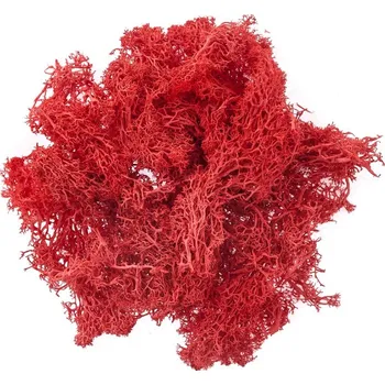 DP Craft Mech sobí červený 30G