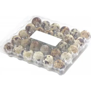 Agrofortel Transportní obal na 30 ks křepelčích vajec blistr