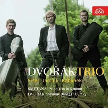 Česká hudba Dvořákovo trio - Dvořák, Smetana - CD