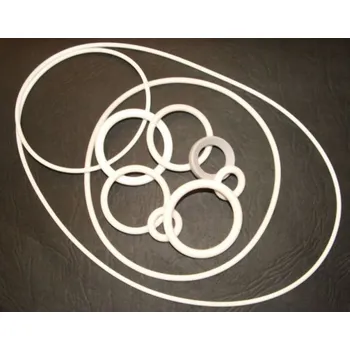 Kroužek Si 213*12 TATRA