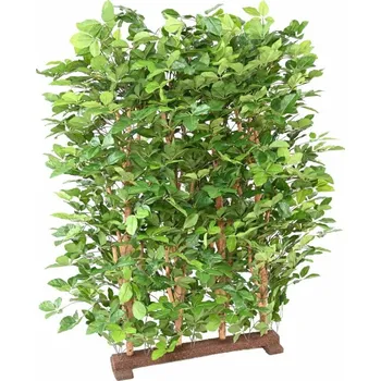 umělá květina Umělý živý plot BEECH GRANDIFOLIA 80cmx120cm, 145cm